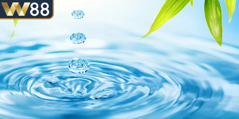 Nằm mơ thấy nước thường liên quan đến cảm xúc, sức khỏe và vận mệnh